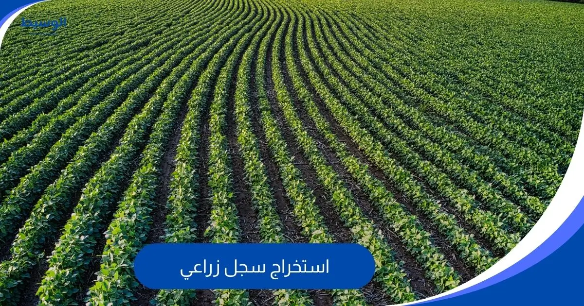 استخراج سجل زراعي