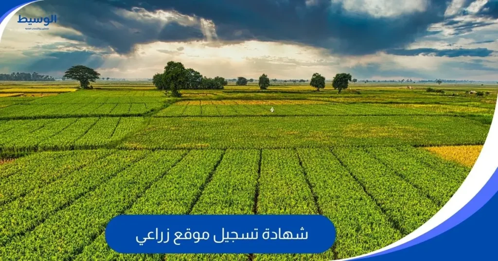 شهادة تسجيل موقع زراعي